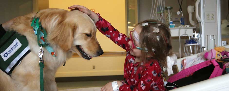 hospital visit dog training