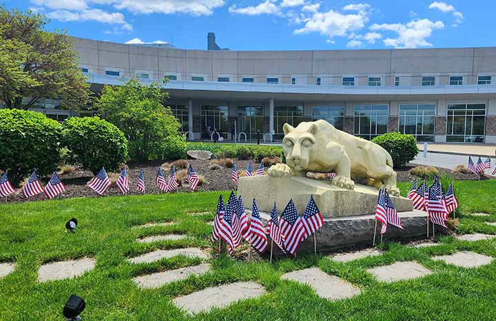 Statue of the Nittany Lion surrounded by small United States flags, on the lawn in front of Penn State Health St. Joseph Medical Center.