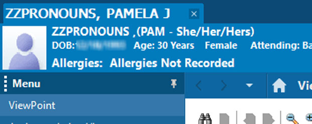 Factious name and pronouns being displayed. 