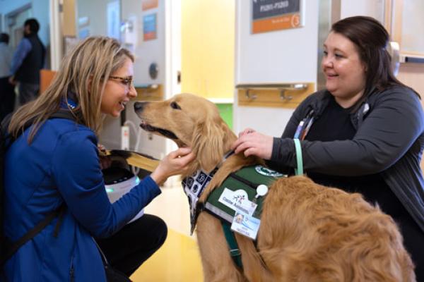 Baron, facility dog at Penn State Health Children's Hospital