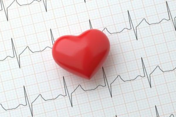 Heart on electrocardiogram that shows heart rhythm.