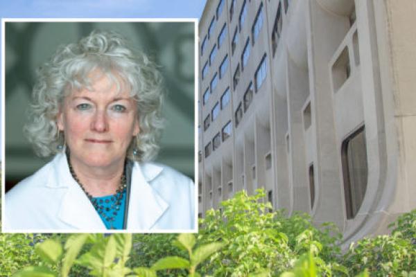A head and shoulders portrait of Erica Friedman against a background image of Penn State College of Medicine.