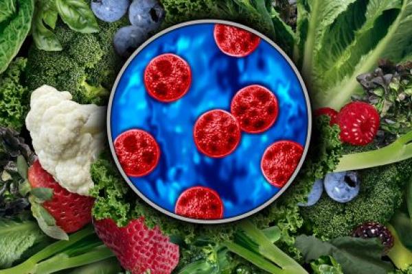 Cyclosporiasis parasite in Petri dish on top of leafy greens and berries. Credit: Getty Images | wildpixel