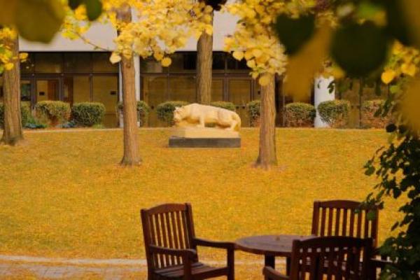 A wide shot of the Nittany Lion statue is outdoors in a round grassy area in front of the College of Medicine main entrance. Trees with fall foliage are visible above it. A small round table and three chairs are in the foreground.