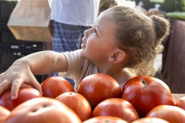 A child picks over a pile of tomatoes.