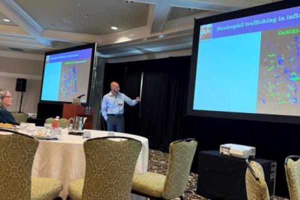A man stands at the center of a conference room gesturing to a projector screen.