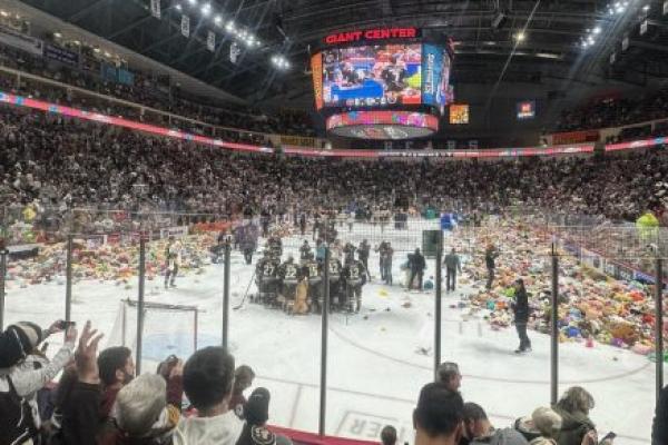 Hundreds of stuffed animals cover the ice during a hockey arena’s teddy bear toss, with players and staff on the rink and a packed crowd watching in the stands.