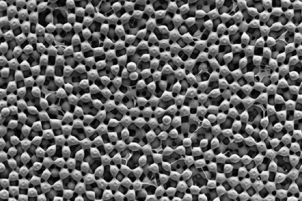 A zoomed in photo material taken from a microscope that showcases the material's unique, oxygen-rich structure