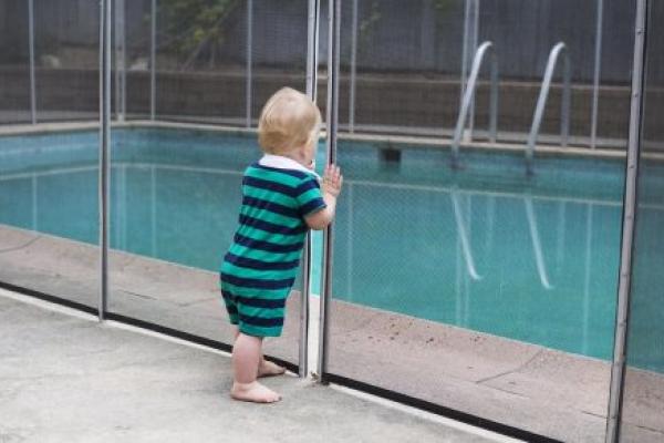 A toddler looks through a crack in a fence around a swimming pool.