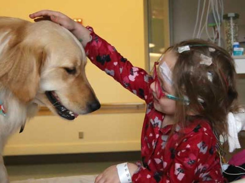 Becky the dog is pet by a patient.