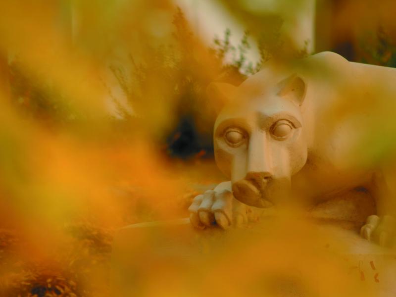 The nittany lion statue surrounded by fall leaves.