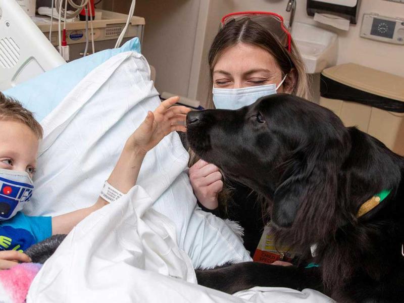 Pilot, the newest facility dog at Penn State Health Children's Hospital and his primary handler, visit pediatric patient in his room.
